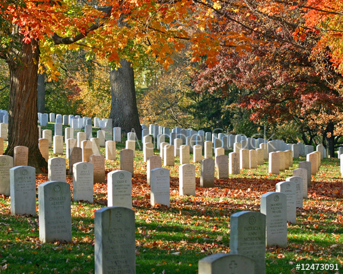 500_F_12473091_zCz1h9TpnvpxeAeGbX09btuucsdp3tbs