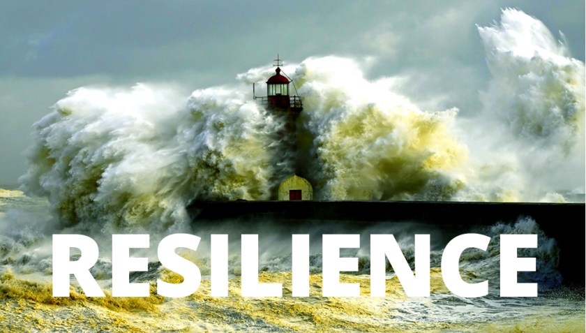 resilience